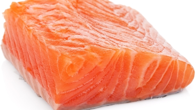 Salmon